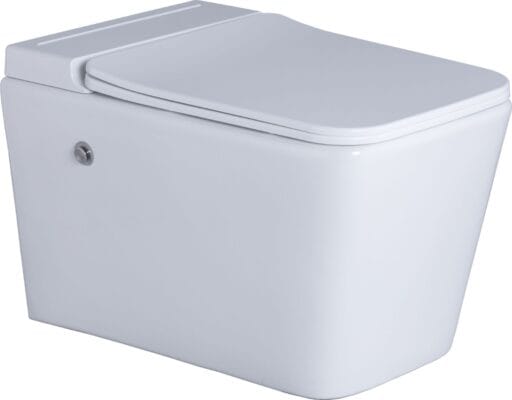 Tankless Wall Mounted Toilet