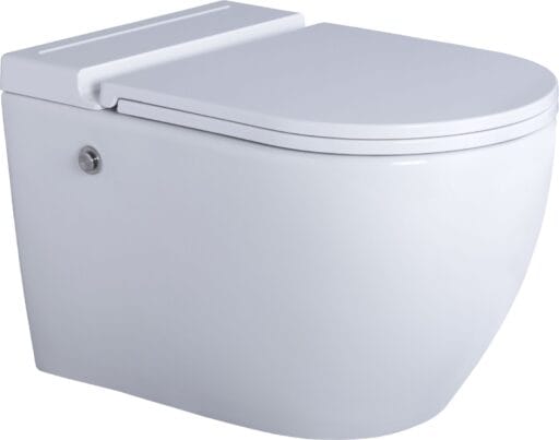 Tankless Wall Mounted Toilet