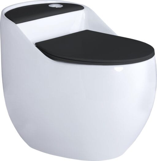 Dual Tone Glossy One Piece Toilet
