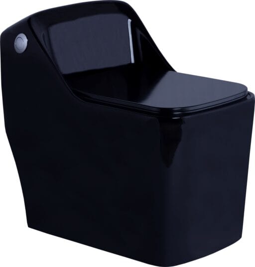 Glossy One Piece Toilet