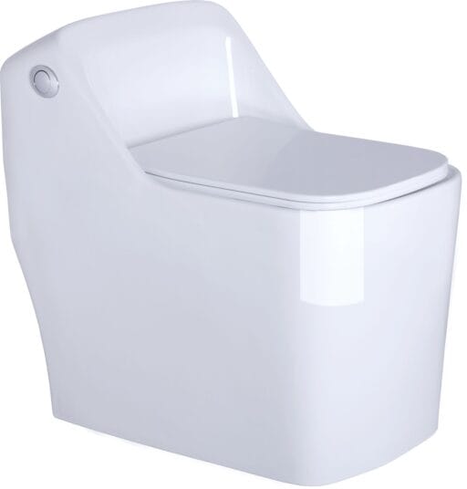 Glossy One Piece Toilet