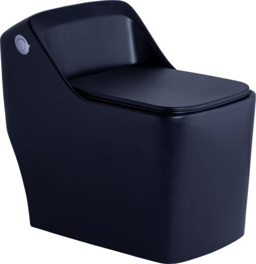 Matt One Piece Toilet
