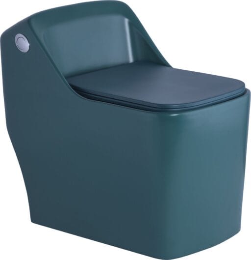 Matt One Piece Toilet