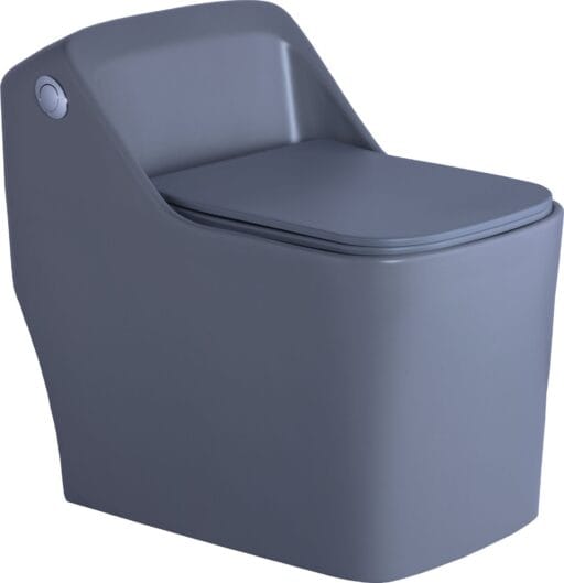 Matt One Piece Toilet
