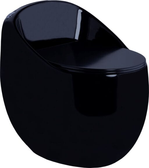 Glossy One Piece Toilet