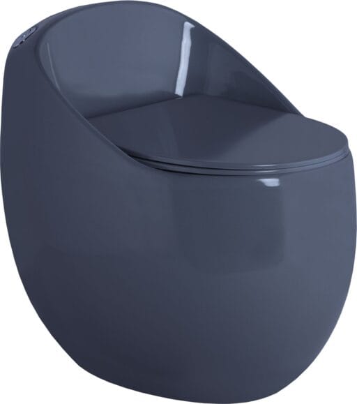 Glossy One Piece Toilet