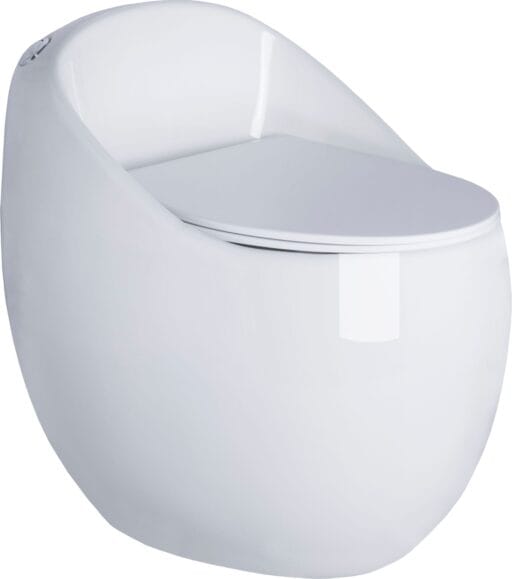 Glossy One Piece Toilet