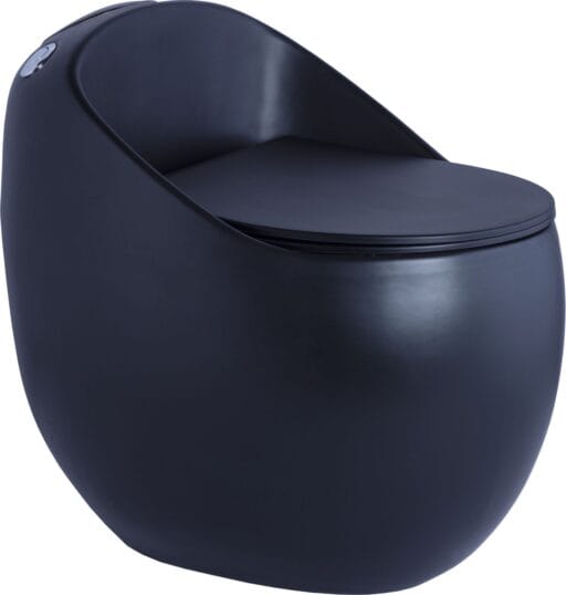 Matt One Piece Toilet