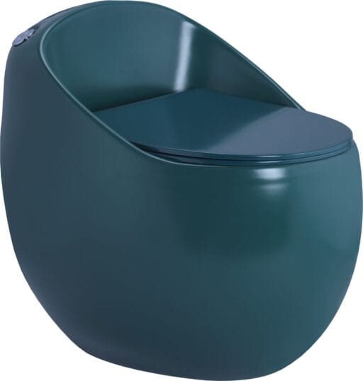 Matt One Piece Toilet