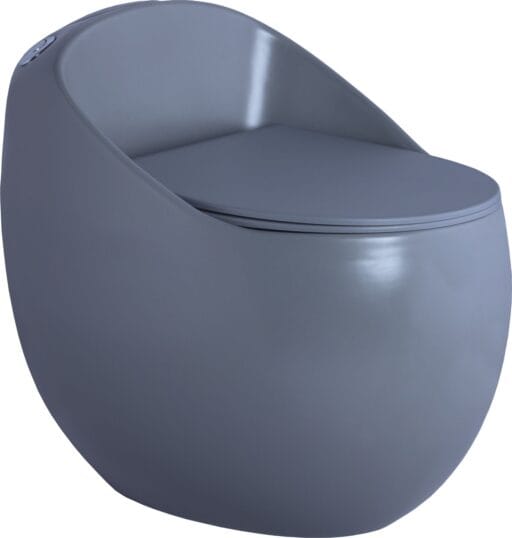 Matt One Piece Toilet