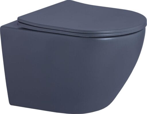 Rimless Matt Wall Mount Toilet
