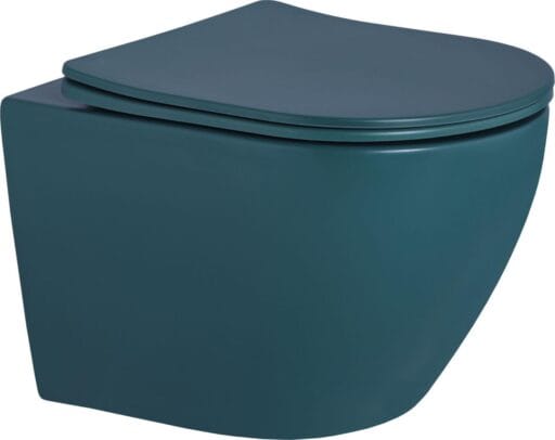 Rimless Matt Wall Mount Toilet